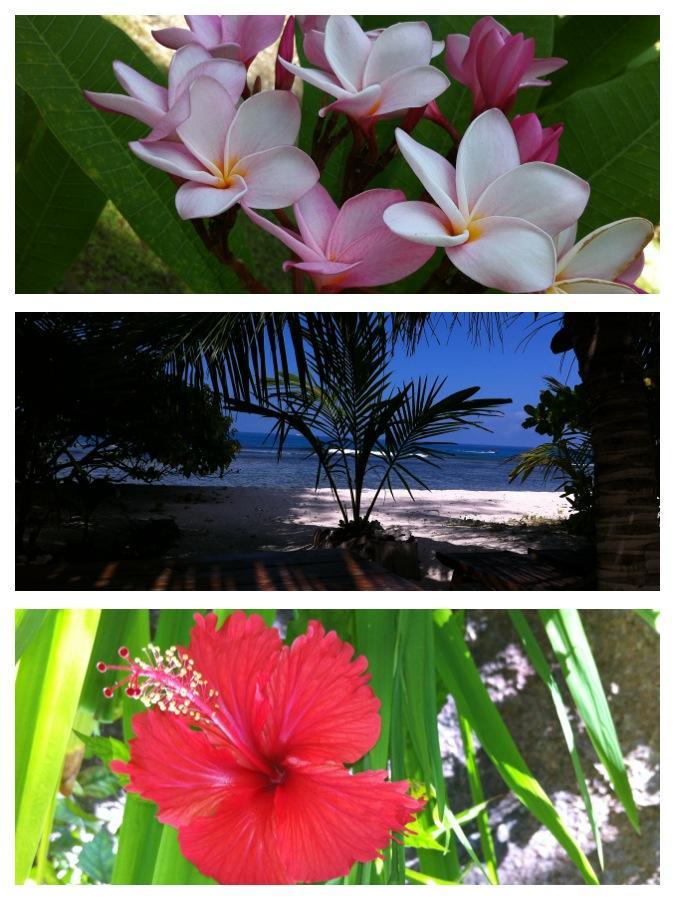 Villas Du Voyageur Grand Anse (Praslin) Exterior foto