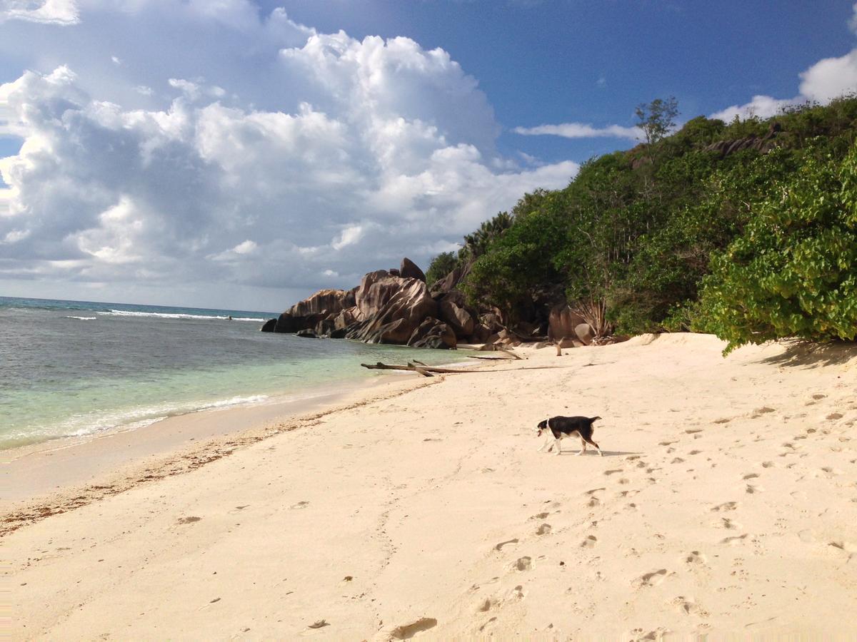 Villas Du Voyageur Grand Anse (Praslin) Exterior foto